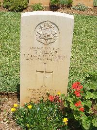 Medjez-El-Bab War Cemetery - Jellicoe, Norman