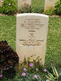 Medjez-El-Bab War Cemetery - Kelloway, Ralph