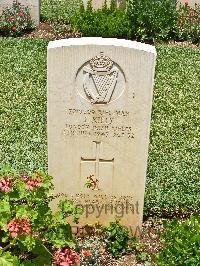 Medjez-El-Bab War Cemetery - Kiely, John