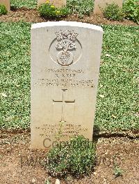 Medjez-El-Bab War Cemetery - Kyle, Norman