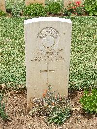 Medjez-El-Bab War Cemetery - Lafferty, Peter