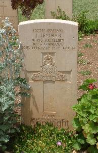 Medjez-El-Bab War Cemetery - Lenihan, John