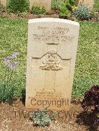 Medjez-El-Bab War Cemetery - Lloyd, Cyril David