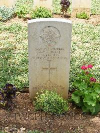 Medjez-El-Bab War Cemetery - Lumley, David William