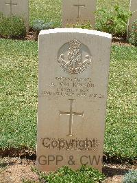 Medjez-El-Bab War Cemetery - MacKinnon, Roderick