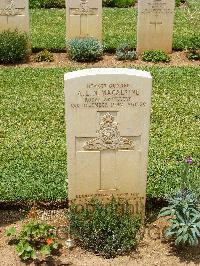 Medjez-El-Bab War Cemetery - MacAlpine, Archibald Lewis Nichol