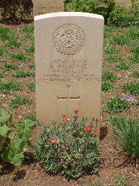 Medjez-El-Bab War Cemetery - MacDonald, Alexander