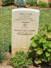 Medjez-El-Bab War Cemetery - MacEy, James