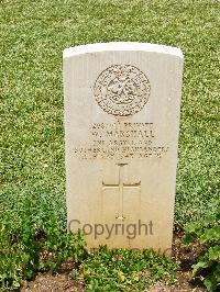 Medjez-El-Bab War Cemetery - Marshall, William