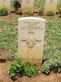 Medjez-El-Bab War Cemetery - Massey, Jack