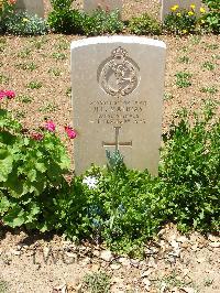 Medjez-El-Bab War Cemetery - Matheson, William Wallace