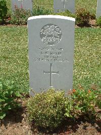 Medjez-El-Bab War Cemetery - Mayes, Richard William