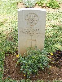 Medjez-El-Bab War Cemetery - McCarthy, Andrew Alexander