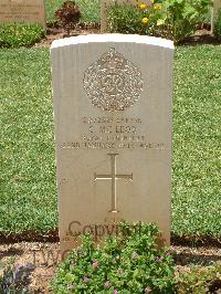 Medjez-El-Bab War Cemetery - McLeish, Robert