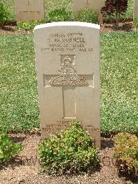 Medjez-El-Bab War Cemetery - McDonnell, Thomas