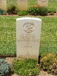 Medjez-El-Bab War Cemetery - McDonnell, William Michael