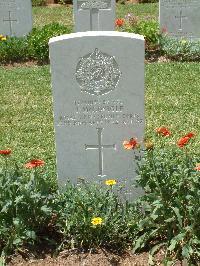 Medjez-El-Bab War Cemetery - McGonigle, Joseph