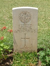 Medjez-El-Bab War Cemetery - McInally, John