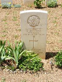 Medjez-El-Bab War Cemetery - McKillop, Daniel