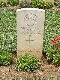 Medjez-El-Bab War Cemetery - Mercer, Francis