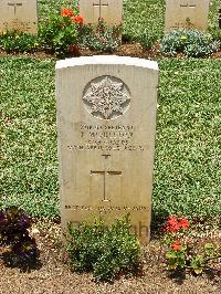 Medjez-El-Bab War Cemetery - Middleton, John