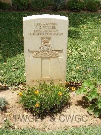 Medjez-El-Bab War Cemetery - Miller, Charles Stewart