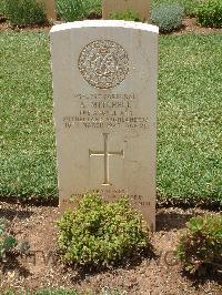 Medjez-El-Bab War Cemetery - Mitchell, Alexander