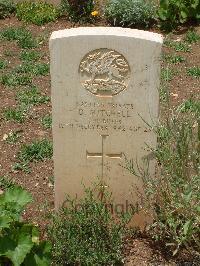 Medjez-El-Bab War Cemetery - Mitchell, Daniel