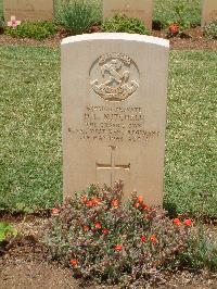 Medjez-El-Bab War Cemetery - Mitchell, Henry Lewis