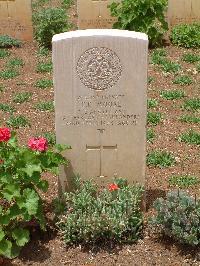 Medjez-El-Bab War Cemetery - Moore, Thomas Donaldson