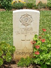 Medjez-El-Bab War Cemetery - Morgan, Frederick Charles