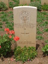 Medjez-El-Bab War Cemetery - Morgan, Harold William