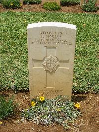 Medjez-El-Bab War Cemetery - Morley, Frank