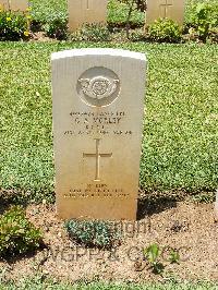 Medjez-El-Bab War Cemetery - Morley, George Albert