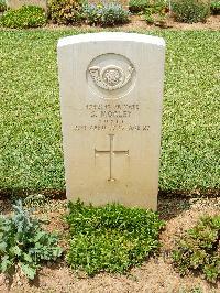 Medjez-El-Bab War Cemetery - Morley, Stanley