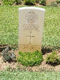 Medjez-El-Bab War Cemetery - Moseling, Alfred Harry Hawkins