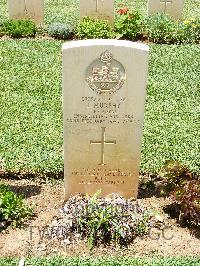 Medjez-El-Bab War Cemetery - Murphy, John