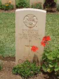 Medjez-El-Bab War Cemetery - Myers, George Sidney Henry