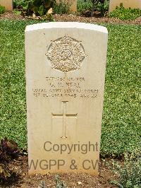 Medjez-El-Bab War Cemetery - Neal, George Herbert