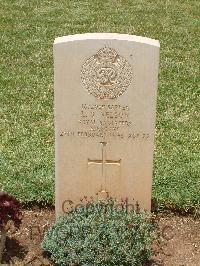 Medjez-El-Bab War Cemetery - Nelson, Lionel David