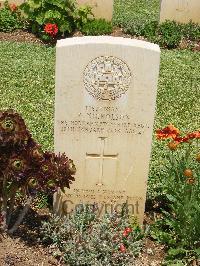 Medjez-El-Bab War Cemetery - Nicholson, Peter