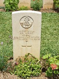 Medjez-El-Bab War Cemetery - Norris, Edward Richard