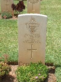 Medjez-El-Bab War Cemetery - Passmore, A E