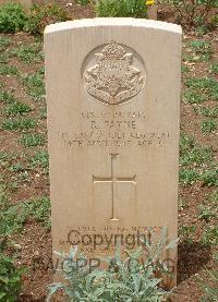 Medjez-El-Bab War Cemetery - Payne, Roger