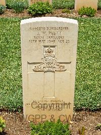 Medjez-El-Bab War Cemetery - Peett, John Wilson