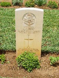 Medjez-El-Bab War Cemetery - Perry, Caryl Ames