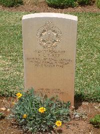 Medjez-El-Bab War Cemetery - Perry, Ernest William