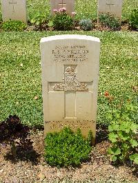 Medjez-El-Bab War Cemetery - Pinkerton, Robert Spencer