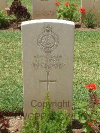 Medjez-El-Bab War Cemetery - Powell, Glyndwr James