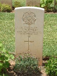 Medjez-El-Bab War Cemetery - Powell, Robert